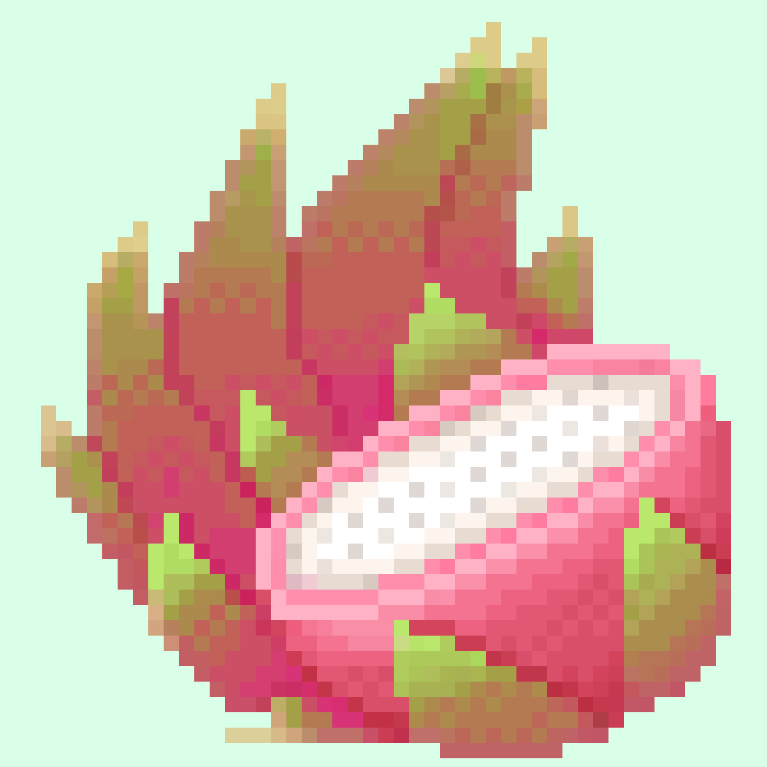 dragonfruit
