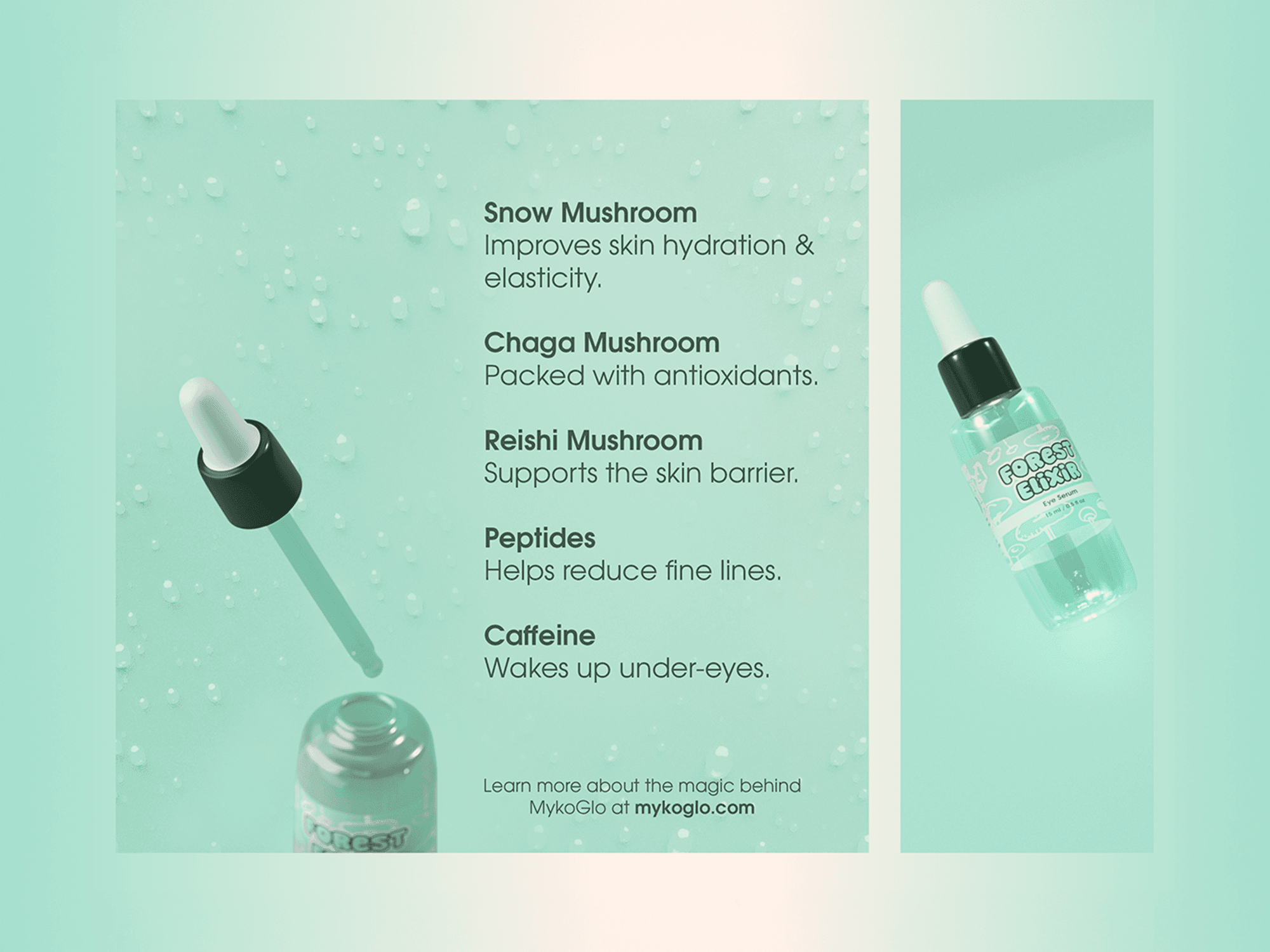 Brand Design by ickysailor
