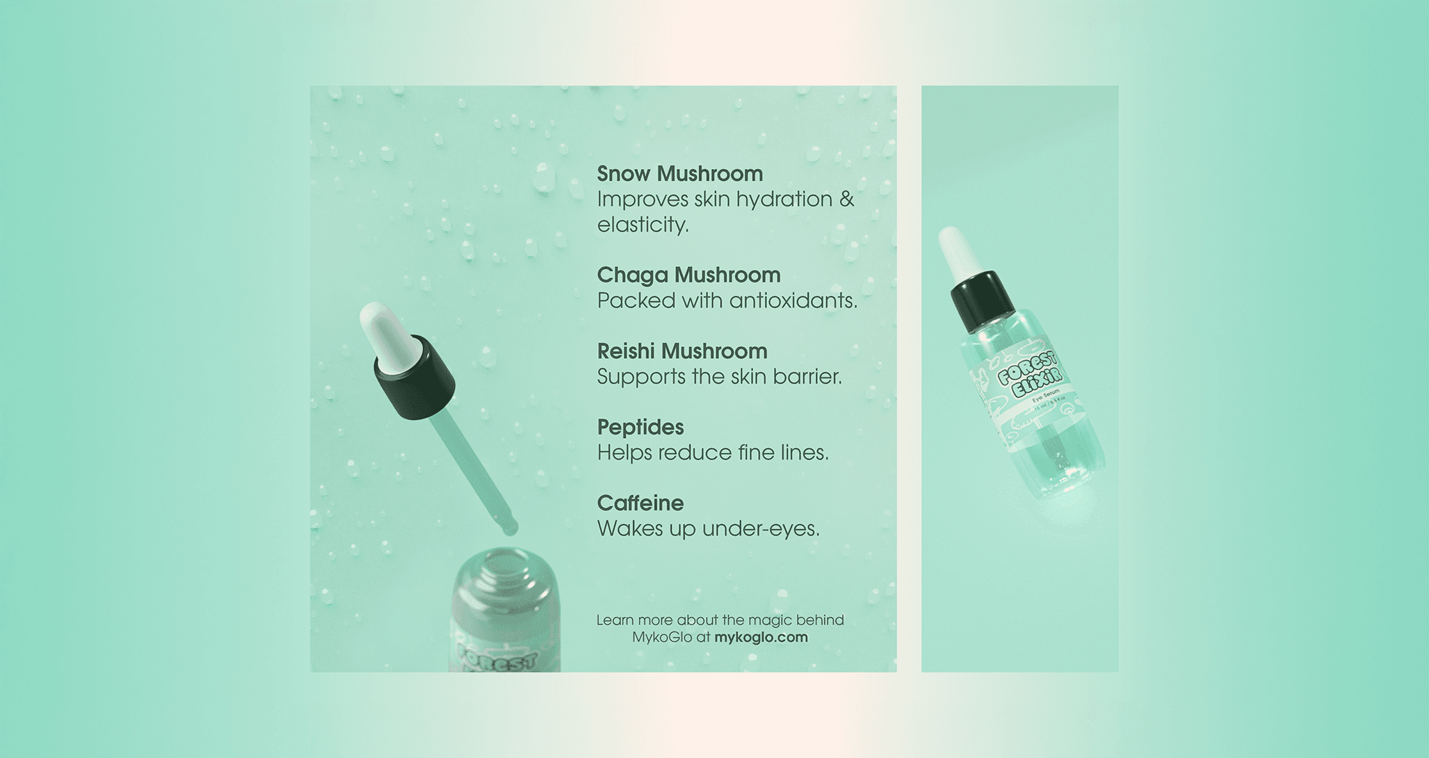Image for MykoGlo, a skincare brand that combines whimical charm with mushroom science