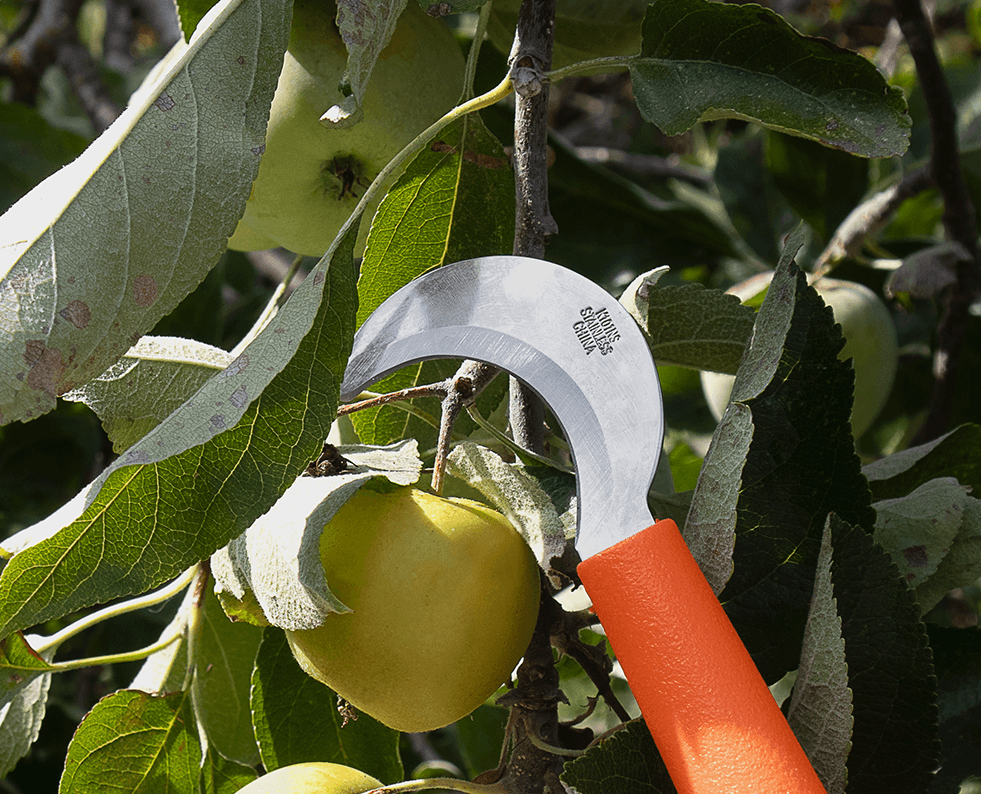 Marketing materials for Zenport Industries, including product photos, flyers, advertisements, and catalogs.